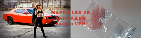 стафф Вязьма