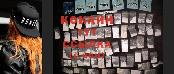 дживик Гусь-Хрустальный