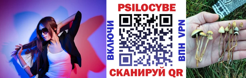 Псилоцибиновые грибы GOLDEN TEACHER  где купить наркоту  Заринск 